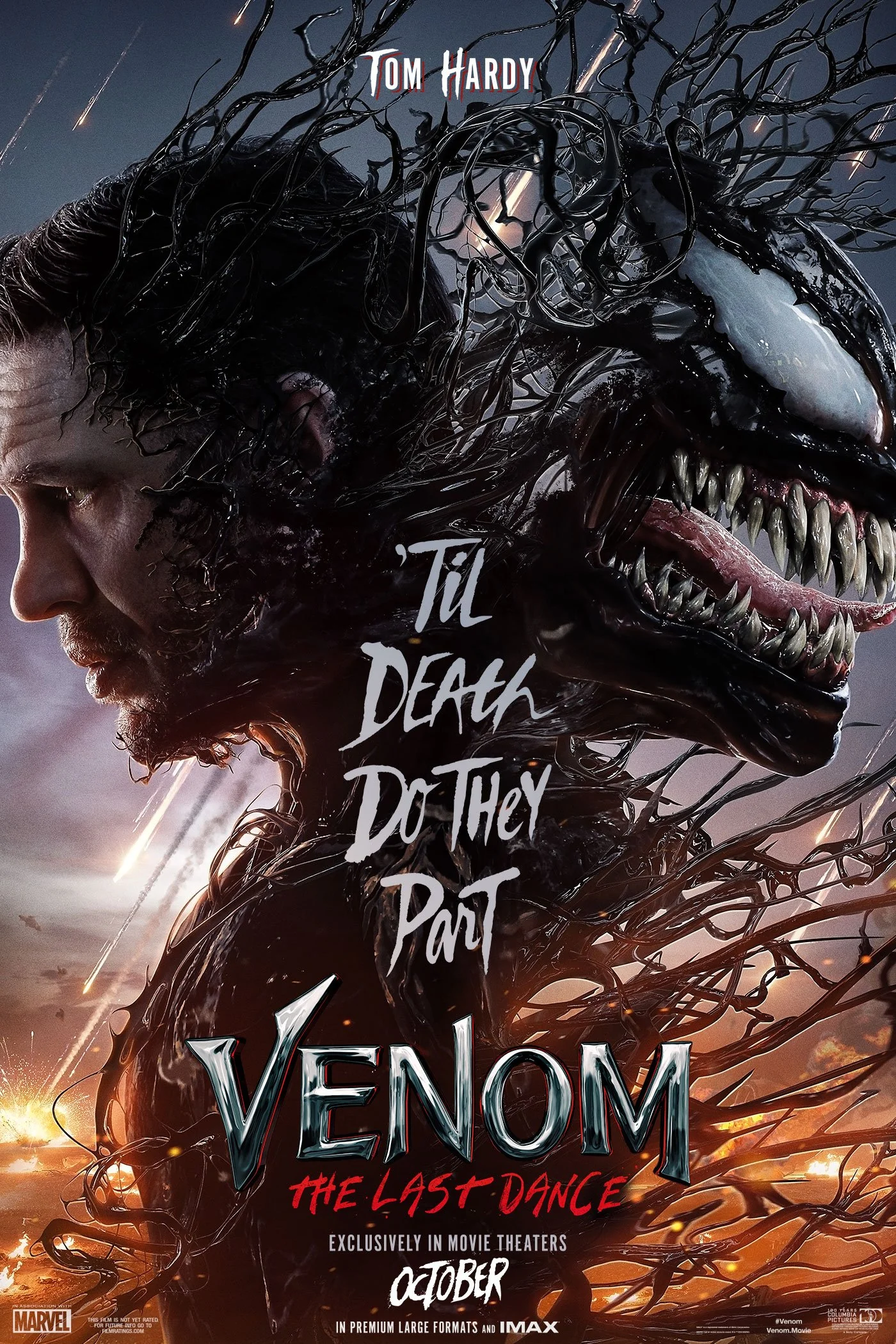 Alur Cerita Film Venom : The Last Dance Terbaru